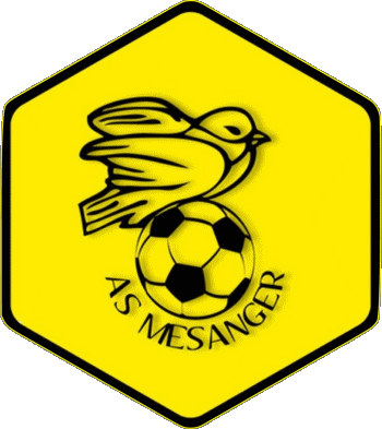 AS de Mésanger 44 - Loire-Atlantique Pays de la Loire Calcio  Club Francia Sportivo 