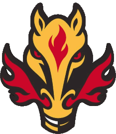 1994 B-1994 B Calgary Flames U.S.A - N H L Eishockey Sport 