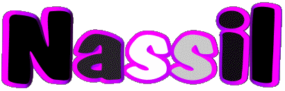 Nassil N MASCULINE - Maghreb Muslim First Names 