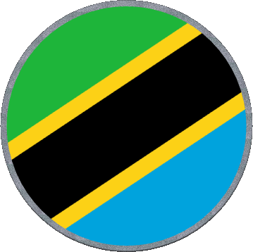 Rond Tanzania Africa Flags 