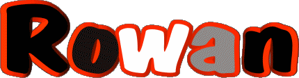 Rowan R MASCULIN - France Prénoms 