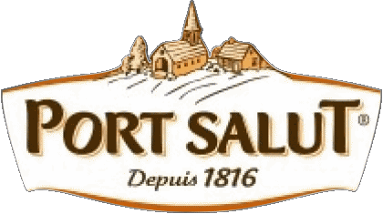 Port Salut France Cheeses Food 