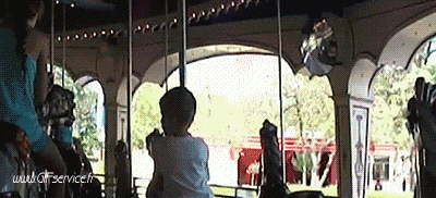 01 Squirrels Animals Humor -  Fun 