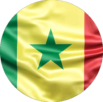 Rond Sénégal Afrique Drapeaux 