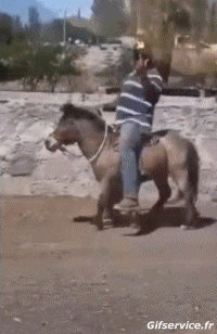 Serie 02 Caballos Animales Humor - Fun 