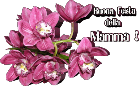 020 Buona Festa della Mamma Italian Messages 