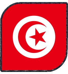 Square Tunisia Africa Flags 