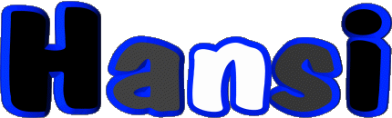 Hansi H MASCULINE - France First Names 