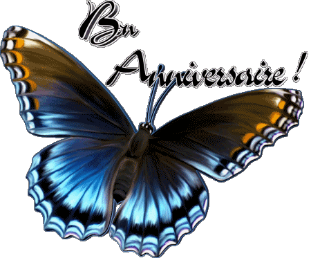 006 Transparent Background Papillons Bon Anniversaire French Messages 