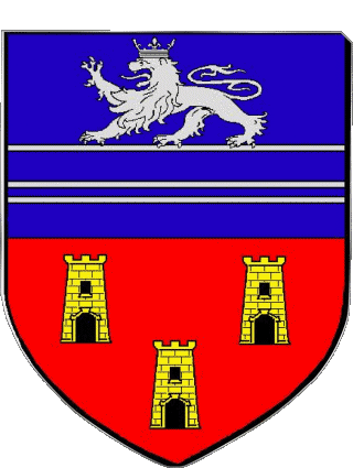 Blasone-Blasone FLAMANVILLE 50 Dipartimenti - Città Francia Bandiere 