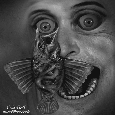 Colin Raff GIF Artists Humor -  Fun 