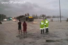 Divertenti Macchine Trasporti Umorismo -  Fun 