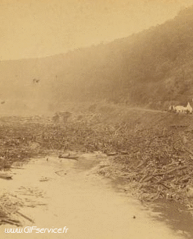 Stéreoscopique Wiggle 3d Effekte Humor -  Fun 