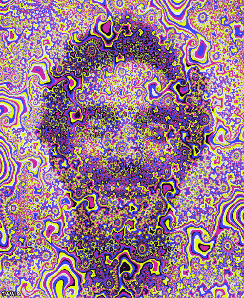 Bill Tavis GIF Künstler Humor -  Fun 