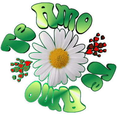 04 Te Amo Spagnolo Messagi 