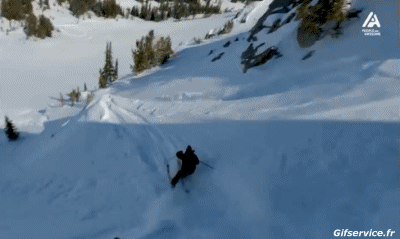 Free Ride Fun Win Ski Sport Humor -  Fun 