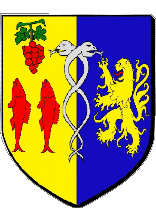 Blasone-Blasone LE GRAU DU ROI 30 Dipartimenti - Città Francia Bandiere 