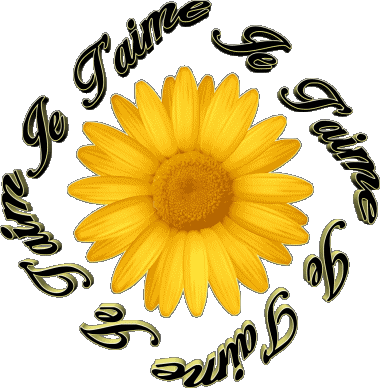 03 Je T'aime Français Messages 