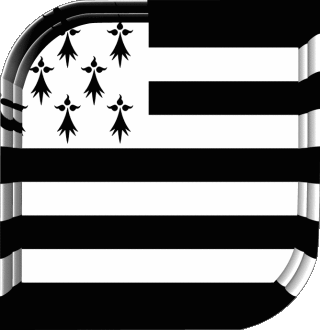 Square Brittany Regions France Flags 