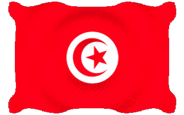 Ondulation Tunisie Afrique Drapeaux 