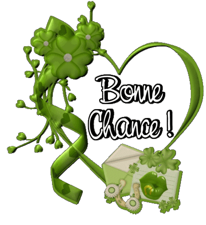 07 Transparent Background Bonne Chance French Messages 