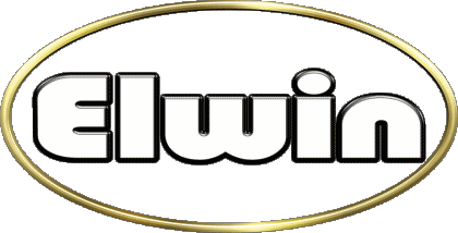 Elwin E MASCULINE -  UK - USA - IRL - AUS - NZ First Names 