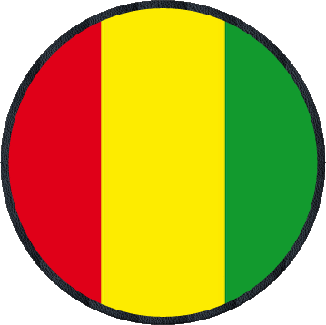 Rond Guinée Afrique Drapeaux 