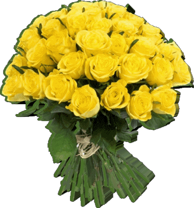 007 Grazie Italian Messages 