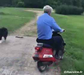 Fun Accident Gamelles Fail Scooter Transports Humour - Fun 