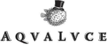 Aqua Luce Gin Boissons 