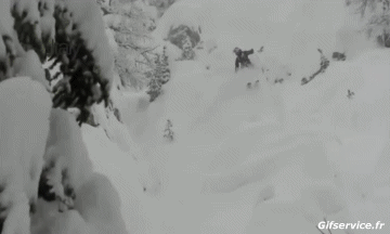 Free Ride Fun Win Sciare Sportivo Umorismo -  Fun 