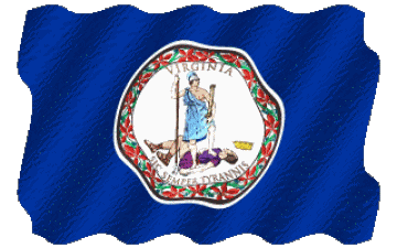 Sventola Virginia U.S.A - Stati America Bandiere 