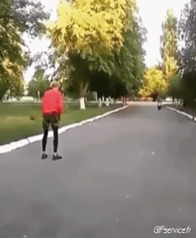 Fun Accident - Fail Scooter Transporte Humor - Fun 