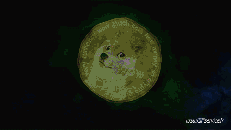 02 Cani Animali Umorismo -  Fun 