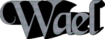 Wael W MASCULINE - Maghreb Muslim First Names 