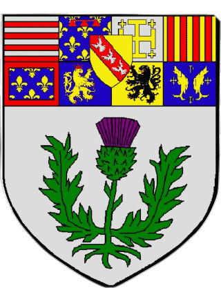 NANCY 54 Abteilungen - Städte Frankreich Fahnen 