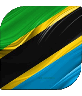Square Tanzania Africa Flags 