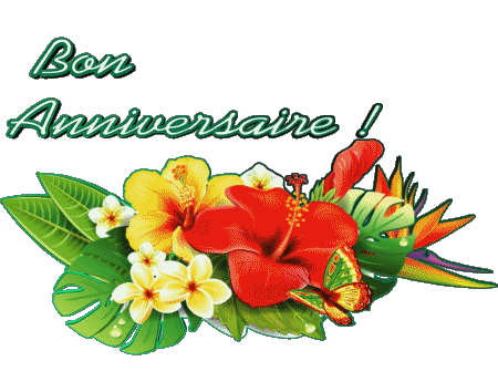 001 Fond Transparent Floral Bon Anniversaire Français Messages 