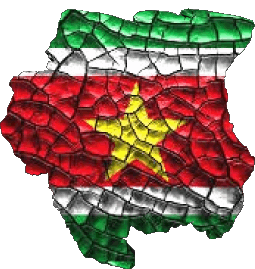 Map Suriname America Flags 