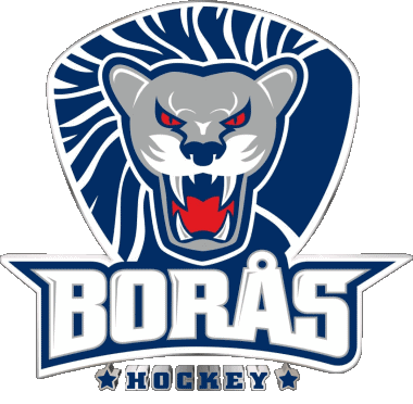 Boras HC Schweden Eishockey Sport 