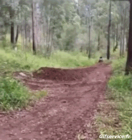 Fail Quad Transporte Humor - Fun 