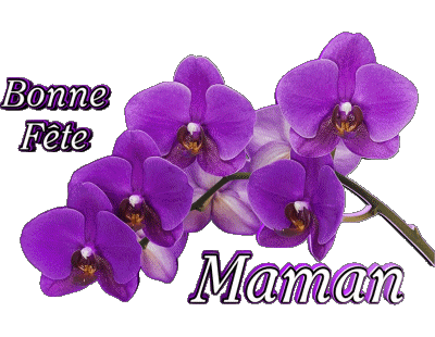 05 Bonne Fête Maman Messages -  French First Name - Messages 