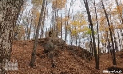 Falls - Fail Mountain biking Sports Humor -  Fun 