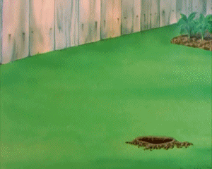 Garden Gopher Tex Avery Dibujos animados TV Peliculas Multimedia 