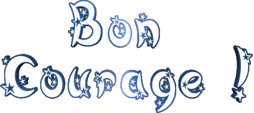 03 Bon Courage Französisch Nachrichten 
