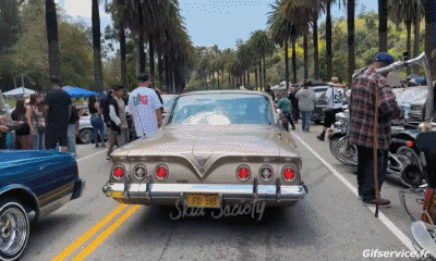 Lowriding Autos Transport Humor -  Fun 