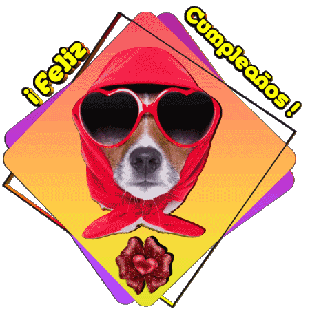 012 Animales Feliz Cumpleaños Spagnolo Messagi 