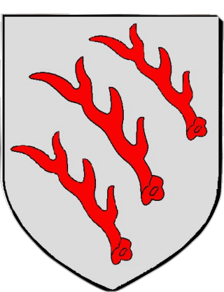 SARREBOURG 57 Abteilungen - Städte Frankreich Fahnen 