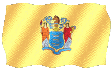 Welligkeit New Jersey U.S.A - States Amerika Fahnen 