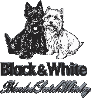 Black and White Whisky Bebidas 